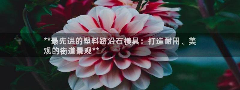 太阳集团城登录网址：**最先进的塑料路沿石模具：打造耐用、美
观的街道景观**
