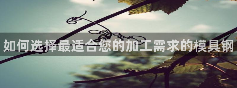 太阳2平台下载：如何选择最适合您的加工需求的模具钢