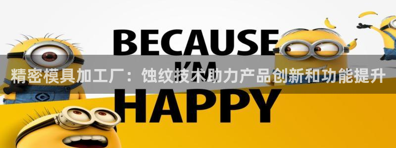 太阳集团网站视频：精密模具加工厂：蚀纹技术助力产品创新和功能提升