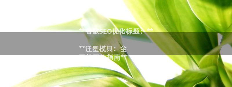 太阳诚集团在线：**谷歌SEO优化标题：**

**注塑模具：全
面的图片指南**