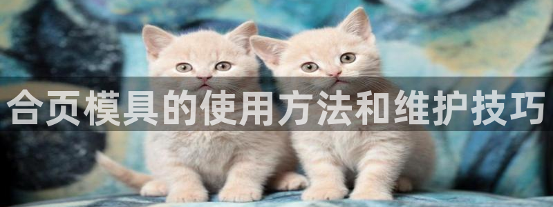 太阳集团app首页：合页模具的使用方法和维护技巧