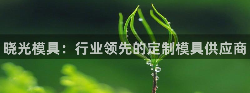 太阳集团游戏App：晓光模具：行业领先的定制模具供应商