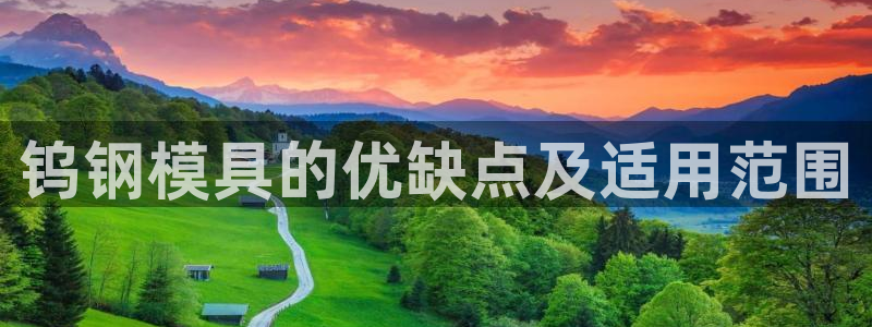 太阳集团官网导航下载：钨钢模具的优缺点及适用范围
