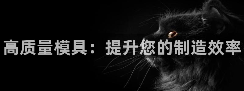 太阳成集团是什么：高质量模具：提升您的制造效率