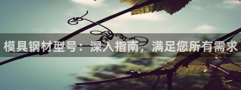 太阳gg注册平台页面：模具钢材型号：深入指南，满足您所有需求
