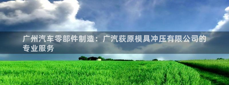 太阳集团游戏平台：广州汽车零部件制造：广汽荻原模具冲压有限公司的
专业服务