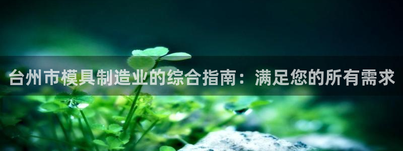 太阳成集团下载：台州市模具制造业的综合指南：满足您的所有需求