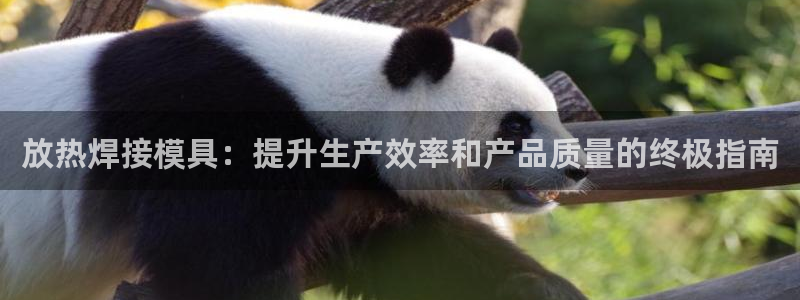 太阳集团tcy8722-主页|欢迎您：放热焊接模具：提升生产效率和产品质量的终极指南