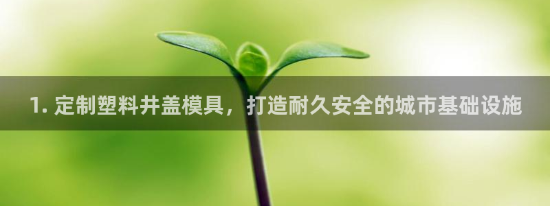 曲靖红太阳集团：1. 定制塑料井盖模具，打造耐久安全的城市基础设施