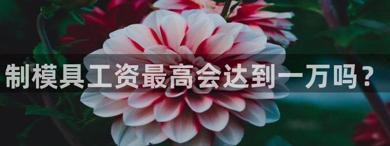 太阳集团娱乐全部网址视频：制模具工资最高会达到一万吗？