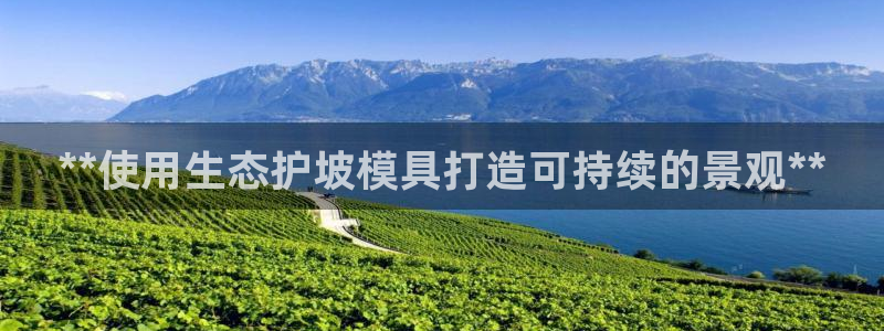 2138cn太阳集团古天乐·首页(欢迎您)：**使用生态护坡模具打造可持续的景观**