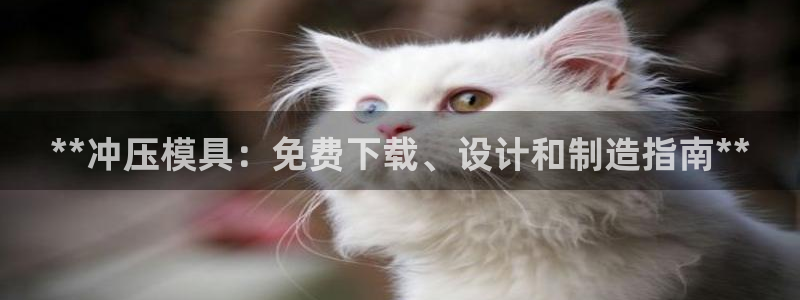 太阳游戏成语：**冲压模具：免费下载、设计和制造指南**