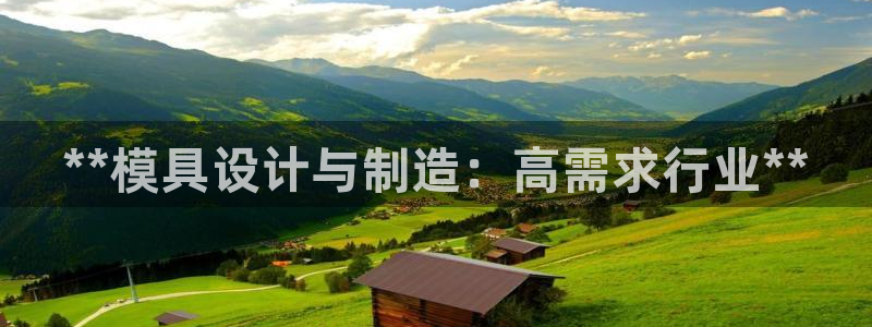 太阳成集团tyc9728：**模具设计与制造：高需求行业**