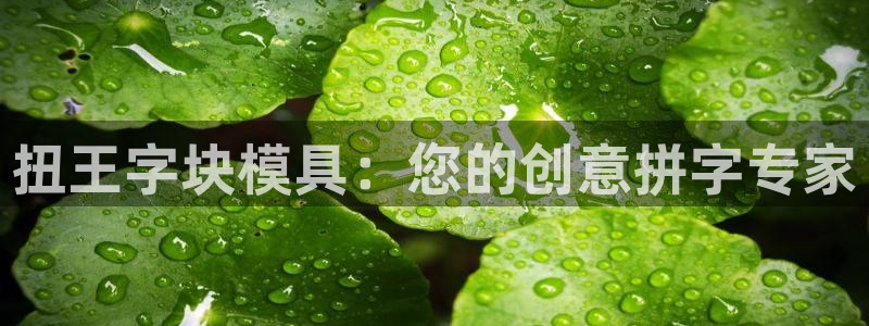 太阳集团城2018网站：扭王字块模具：您的创意拼字专家
