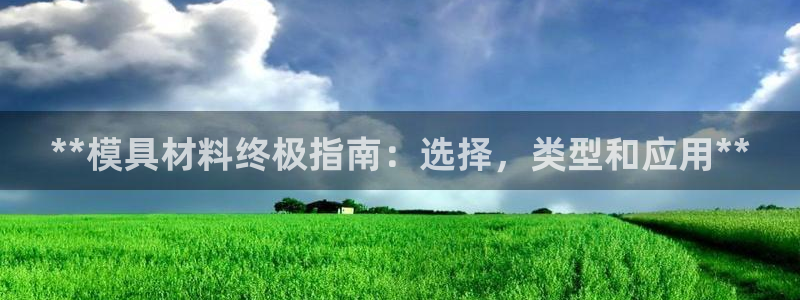 太阳集团备用网址：**模具材料终极指南：选择，类型和应用**