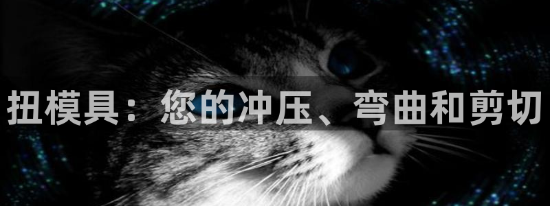 8827太阳集团官网：扭模具：您的冲压、弯曲和剪切