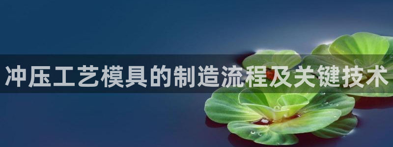 太阳成集团tyc234cc集团产业：冲压工艺模具的制造流程及关键技术