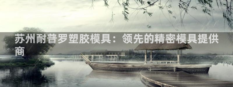 太阳gg注册登录：苏州耐普罗塑胶模具：领先的精密模具提供
商