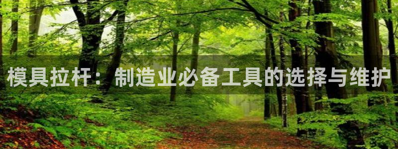 太阳集团电子游戏不朽的浪漫视频：模具拉杆：制造业必备工具的选择与维护