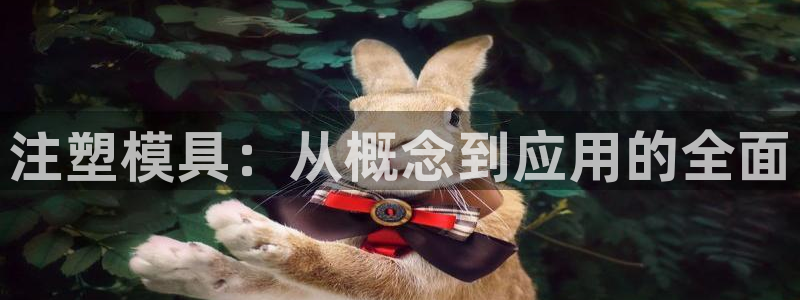 太阳集团游戏城新版138：注塑模具：从概念到应用的全面