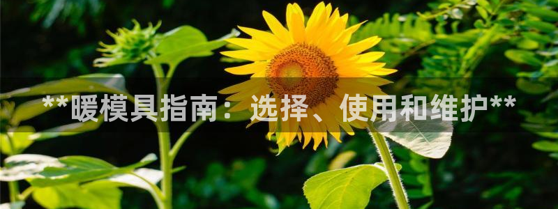 太阳集团3143：**暖模具指南：选择、使用和维护**
