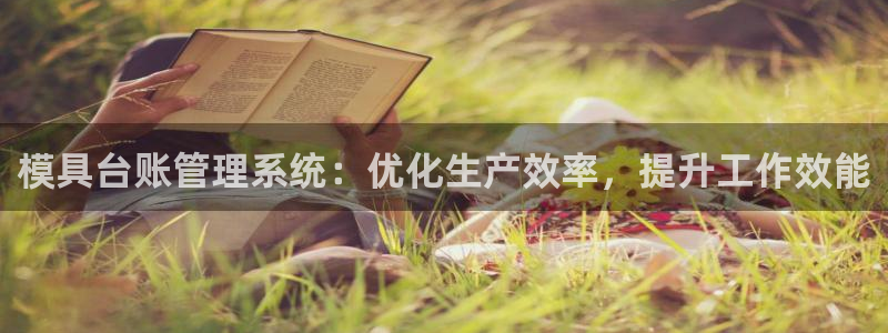 太阳集团是什么：模具台账管理系统：优化生产效率，提升工作效能