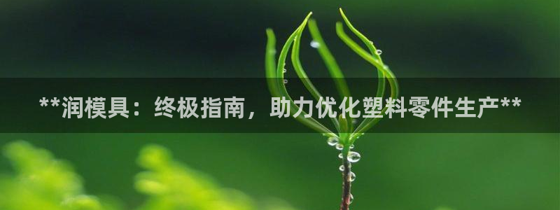 太阳成集团娱乐：**润模具：终极指南，助力优化塑料零件生产**