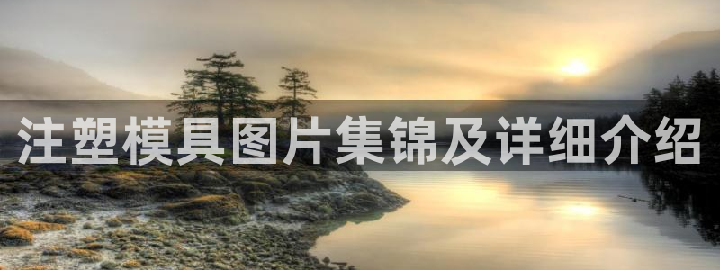 太阳app官网下载入口：注塑模具图片集锦及详细介绍