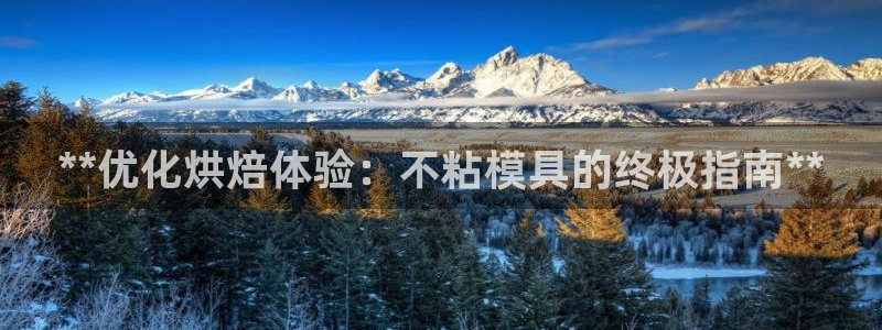 太阳成集团APP：**优化烘焙体验：不粘模具的终极指南**