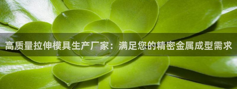 太阳集团是什么电视剧：高质量拉伸模具生产厂家：满足您的精密金