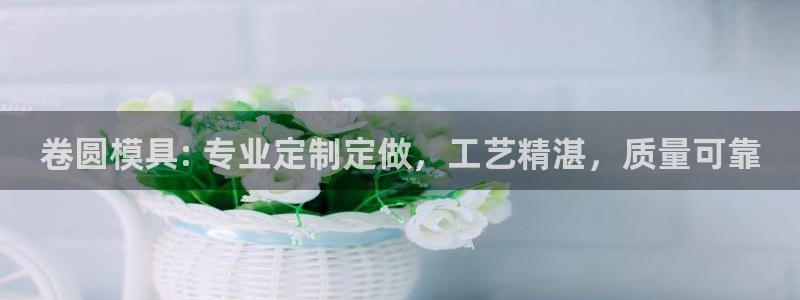太阳成集团百度百科：卷圆模具: 专业定制定做，工艺精湛，质量