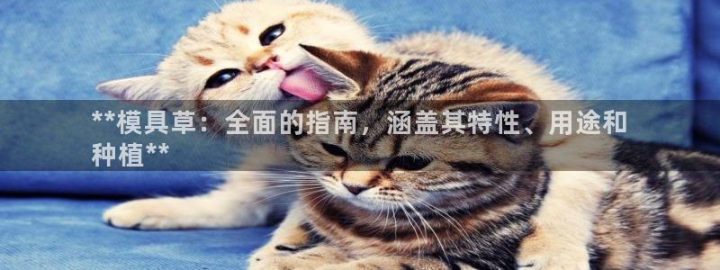 太阳成集团客服：**模具草：全面的指南，涵盖其特性、用途和
种植**