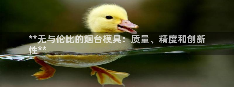 122cc太阳集成游戏：**无与伦比的烟台模具：质量、精度和创新
性**