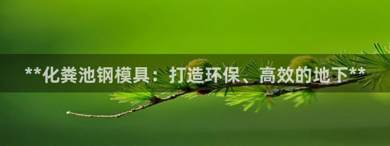太阳集团主要是做什么的：**化粪池钢模具：打造环保、高效的地
